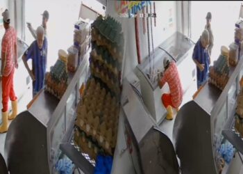 En presunto caso de extorsión, sicario disparó contra empleado de una carnicería