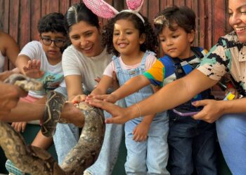 Zooland: el Zoológico de Barranquilla se convierte en un mundo de juegos para celebrar el Día de la Niñez