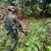 Ejército de Colombia despliega soldados en Guaviare tras enfrentamientos entre grupos armados