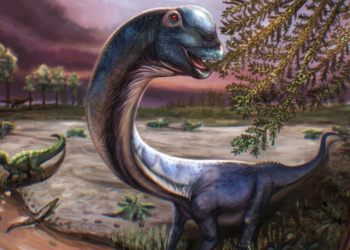 Identifican una nueva especie de dinosaurio gigante a partir de restos hallados en Tailandia