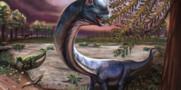 Identifican una nueva especie de dinosaurio gigante a partir de restos hallados en Tailandia