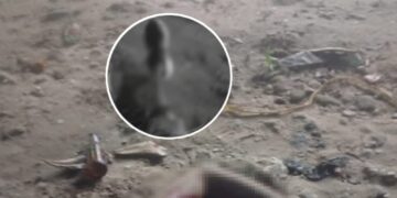 Presunto extorsionista de los Costeños fue ultimado por sicarios en Villa Selene, Soledad