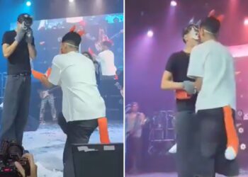 Video | ¿Primera boda therian? Pedida de mano se hace viral