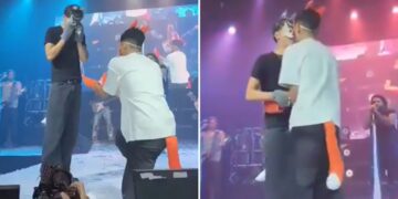 Video | ¿Primera boda therian? Pedida de mano se hace viral