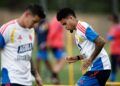 Admiten tutela contra James Rodríguez, Luis Díaz y la FCF
