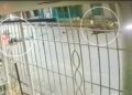 Choque de motos dejó dos muertos y una mujer herida en el barrio Carrizal de Barranquilla