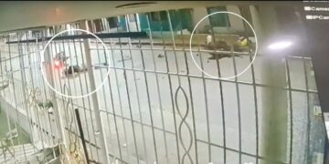 Choque de motos dejó dos muertos y una mujer herida en el barrio Carrizal de Barranquilla