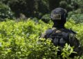 El conflicto armado, la eterna encrucijada de Colombia de cara a las elecciones
