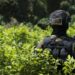 El conflicto armado, la eterna encrucijada de Colombia de cara a las elecciones