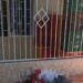 Hombre asesinado en Villa Karla, Soledad, era vendedor de aguacates: "Le dispararon siete veces"