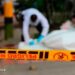 Hombre fue ultimado en Las Marinas, Soledad: "El sicario lo persiguió hasta una vivienda"