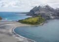 Miles de crías de foca murieron en dos remotas islas subantárticas. Los científicos ahora creen saber por qué