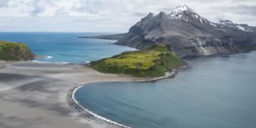 Miles de crías de foca murieron en dos remotas islas subantárticas. Los científicos ahora creen saber por qué