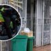Policías de civil frustraron atraco en Santo Tomás e hirieron a presunto delincuente