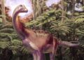 Un fósil guardado en un cajón durante décadas resulta ser el primer hueso de dinosaurio hallado en la Antártida