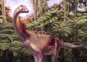 Un fósil guardado en un cajón durante décadas resulta ser el primer hueso de dinosaurio hallado en la Antártida