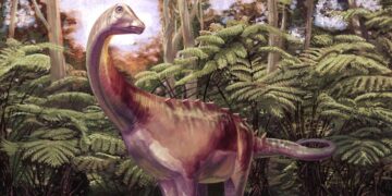 Un fósil guardado en un cajón durante décadas resulta ser el primer hueso de dinosaurio hallado en la Antártida