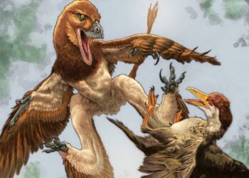 Un fósil revela una extraña criatura planeadora que cazaba aves hace 120 millones de años