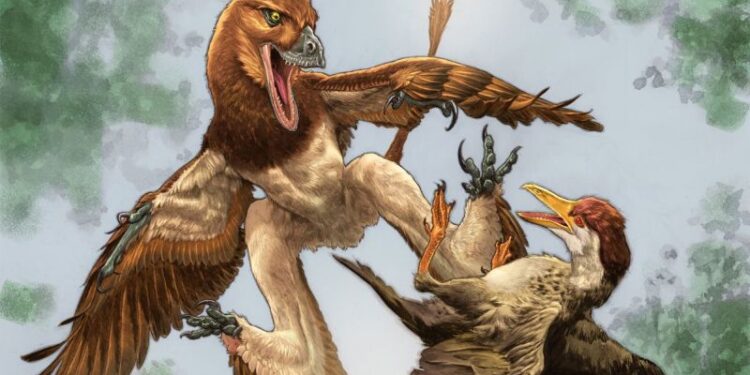 Un fósil revela una extraña criatura planeadora que cazaba aves hace 120 millones de años