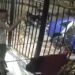 Una mujer lo hizo salir y un hombre le disparó: así fue el homicidio de cobradiario en Soledad