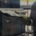 Basura o materia prima? Proyecto en el Atlántico transforma botellas PET en herramientas de limpieza
