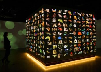 El nuevo museo de National Geographic, valorado en US$ 300 millones, permite revivir 138 años de exploración