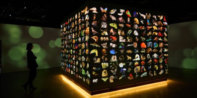 El nuevo museo de National Geographic, valorado en US$ 300 millones, permite revivir 138 años de exploración