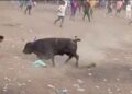 Hombre murió tras ser corneado por un toro en corralejas del corregimiento de Puerto Giraldo, en Ponedera