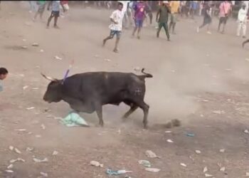 Hombre murió tras ser corneado por un toro en corralejas del corregimiento de Puerto Giraldo, en Ponedera