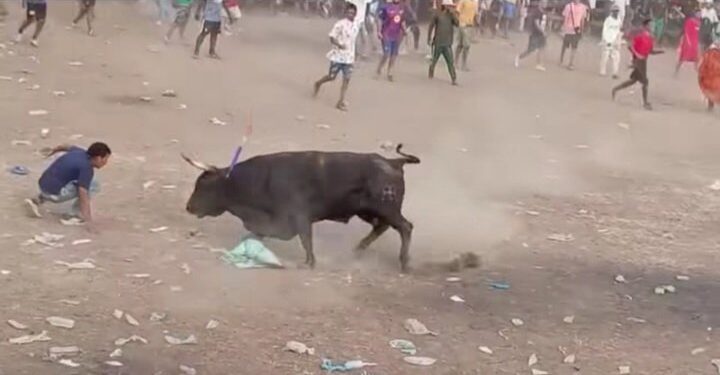 Hombre murió tras ser corneado por un toro en corralejas del corregimiento de Puerto Giraldo, en Ponedera