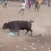 Hombre murió tras ser corneado por un toro en corralejas del corregimiento de Puerto Giraldo, en Ponedera