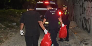Indignación en Barranquilla por hallazgo de dos perros muertos con signos de quemaduras: Alcaldía exige dar con responsables