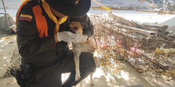 Jornada de bienestar animal en Bosconia