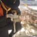 Jornada de bienestar animal en Bosconia
