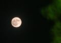 Luna llena del ciervo de julio: por qué se llama así y cuándo se podrá ver