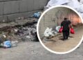 “Pasó a plena luz del día”: cruel muerte de perritos en el barrio El Silencio, en Barranquilla