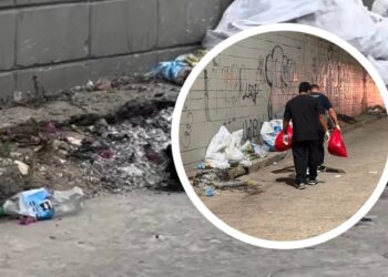 “Pasó a plena luz del día”: cruel muerte de perritos en el barrio El Silencio, en Barranquilla