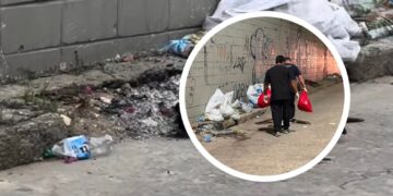 “Pasó a plena luz del día”: cruel muerte de perritos en el barrio El Silencio, en Barranquilla