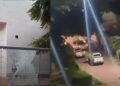 Presunto ladrón murió en enfrentamiento con la Policía tras intento de robo en Miramar: "Tres cómplices fueron capturados"