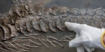 Si otra civilización avanzada hubiera vivido en la Tierra antes que nosotros, ¿lo sabríamos?