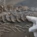 Si otra civilización avanzada hubiera vivido en la Tierra antes que nosotros, ¿lo sabríamos?