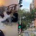 Terror en Alto Prado: ocho delincuentes irrumpieron en edificio y amordazaron a familias para cometer millonario robo