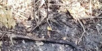 Autoridades buscan establecer identidad de persona hallada incinerada en zona enmontada de Puerto Colombia
