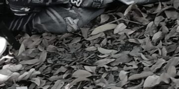 Con múltiples heridas causadas con arma cortopunzante: así encontraron a un hombre muerto en una finca de Malambo