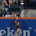 El grand slam que Fernando Tatis Jr. le robó a Francisco Lindor