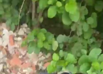 Encuentran sin vida a un hombre en Puerto Colombia: "Registraba signos de violencia"