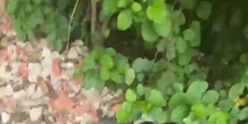 Encuentran sin vida a un hombre en Puerto Colombia: "Registraba signos de violencia"