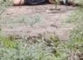 Encuentran sin vida a una persona en zona rural de Campo de la Cruz: "Se trataría de una mujer"