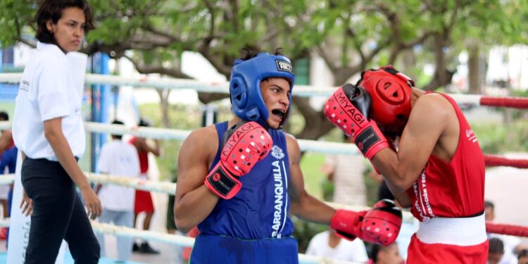 La II Copa Talento Barranquilla de boxeo olímpico reunirá 20 clubes