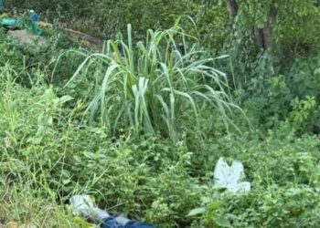 Macabro hallazgo en la vía Cartagena-Turbaco: dos hombres aparecen maniatados y asesinados